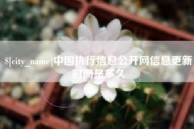 泽州中国执行信息公开网信息更新时间是多久