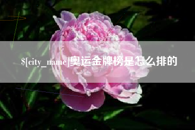 泽州奥运金牌榜是怎么排的
