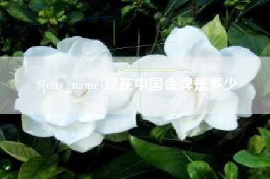 泽州现在中国金牌是多少
