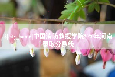 泽州中国消防救援学院2020年河南录取分数线