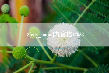 泽州九宫格42633