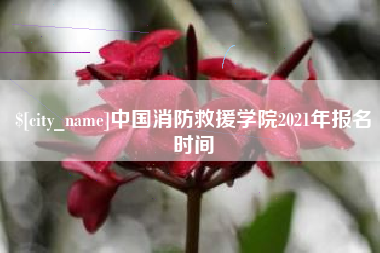 泽州中国消防救援学院2021年报名时间