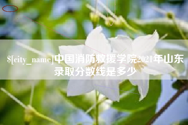 泽州中国消防救援学院2021年山东录取分数线是多少