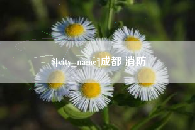 泽州成都 消防