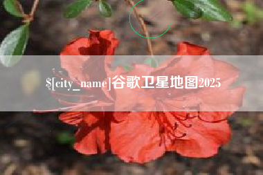 泽州谷歌卫星地图2025