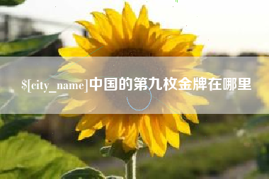 泽州中国的第九枚金牌在哪里