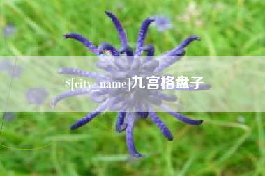泽州九宫格盘子