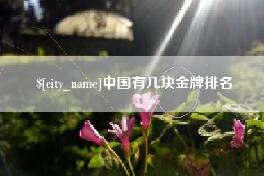 泽州中国有几块金牌排名