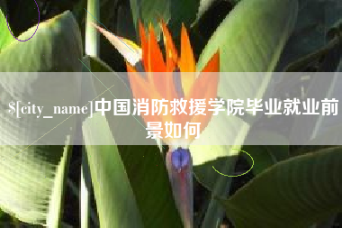 泽州中国消防救援学院毕业就业前景如何