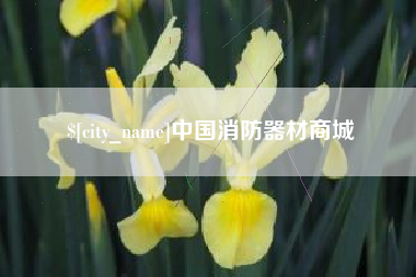 泽州中国消防器材商城