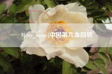 泽州中国第九金回放