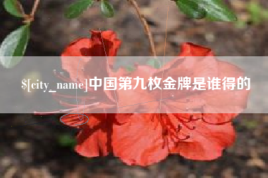 泽州中国第九枚金牌是谁得的