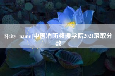 泽州中国消防救援学院2021录取分数