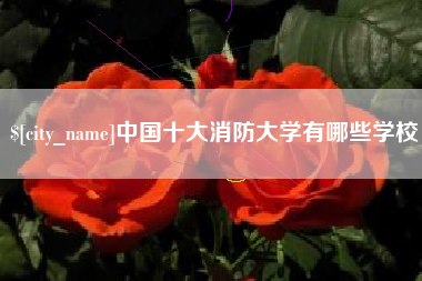 泽州中国十大消防大学有哪些学校