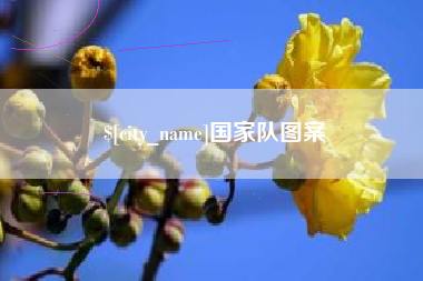 泽州国家队图案