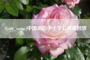 泽州中国消防中小学公开课回放