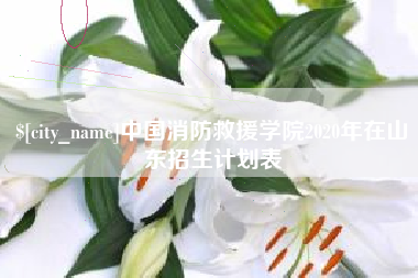 泽州中国消防救援学院2020年在山东招生计划表