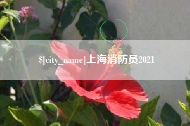 泽州上海消防员2021