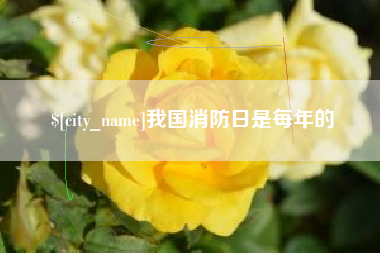 泽州我国消防日是每年的