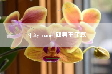 泽州邱县王子磊