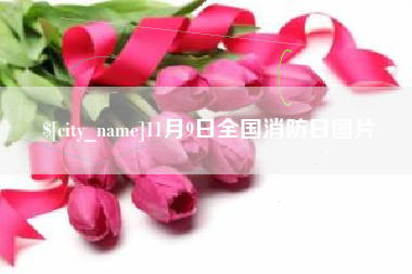 泽州11月9日全国消防日图片