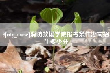 泽州消防救援学院报考条件湖南招生多少分