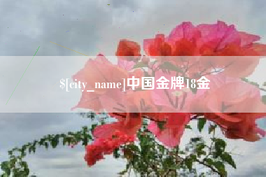 泽州中国金牌18金