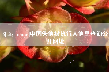 泽州中国失信被执行人信息查询公开网址