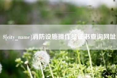 泽州消防设施操作员证书查询网址