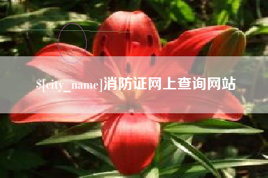 泽州消防证网上查询网站