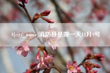 泽州消防日是哪一天11月9号