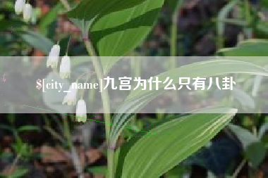 泽州九宫为什么只有八卦