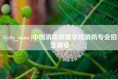 泽州中国消防救援学院消防专业招生简章