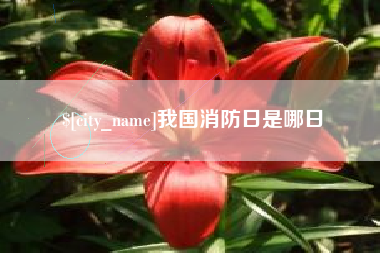 泽州我国消防日是哪日