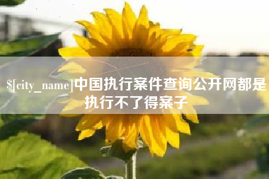 泽州中国执行案件查询公开网都是执行不了得案子