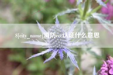 泽州消防ccc认证什么意思