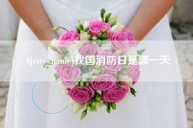 泽州我国消防日是哪一天