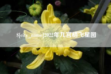 泽州2022年九宫格飞星图