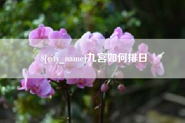泽州九宫如何排日