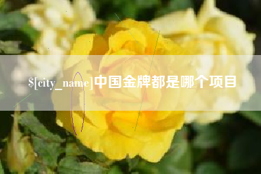 泽州中国金牌都是哪个项目