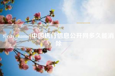 泽州中国执行信息公开网多久能消除