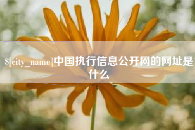 泽州中国执行信息公开网的网址是什么