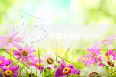 泽州中国消防网1190119