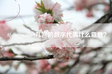 泽州九宫的数字代表什么意思？