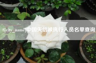 泽州中国失信被执行人员名单查询