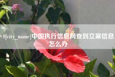 泽州中国执行信息网查到立案信息怎么办