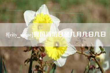 泽州我国消防日是几月几日几日