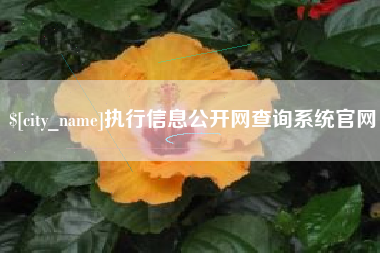 泽州执行信息公开网查询系统官网