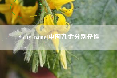 泽州中国九金分别是谁