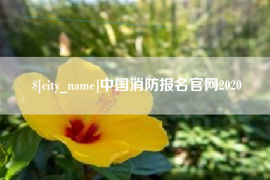 泽州中国消防报名官网2020